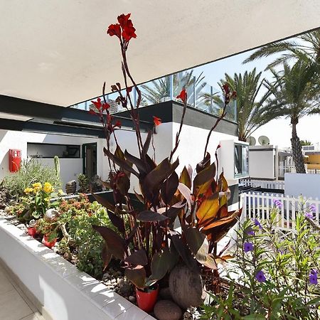 Maspalomas Beach Apartment Charca 1 Eksteriør bilde